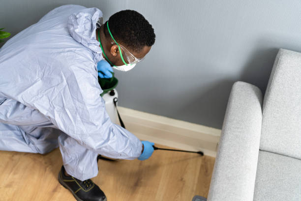 Best Bed Bug Extermination  in Vaeboro, NC